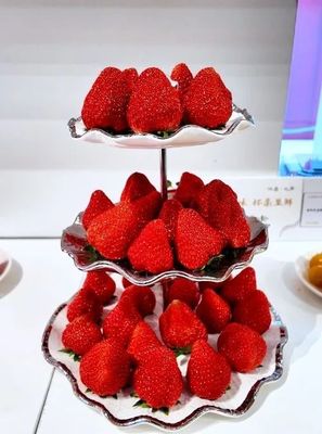 漁陽北房鮮臻品 蛇年迎春鮮享會(huì)的病人陪護(hù)服務(wù)新篇章